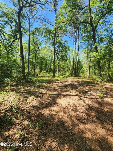 Tiny photo for 4 Shaw Highway, Rocky Point, NC 28457 (MLS # 100568530)