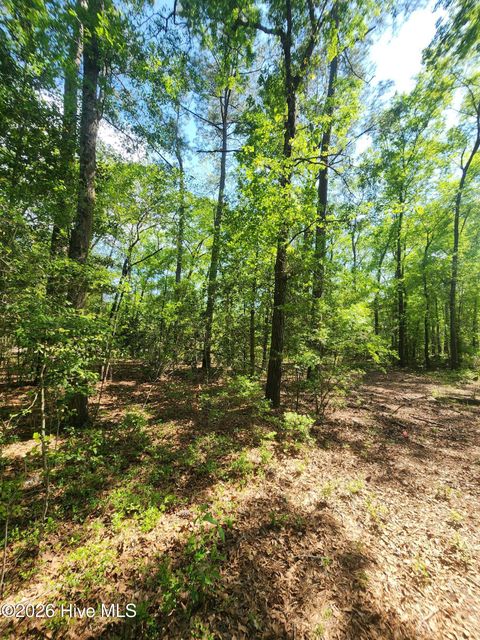 Tiny photo for 4 Shaw Highway, Rocky Point, NC 28457 (MLS # 100568530)