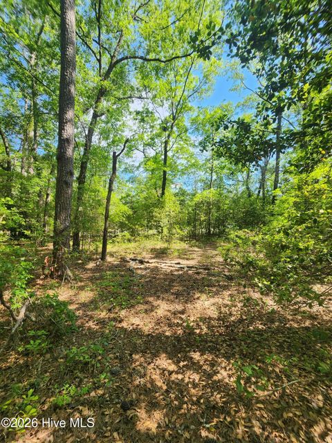 Tiny photo for 4 Shaw Highway, Rocky Point, NC 28457 (MLS # 100568530)