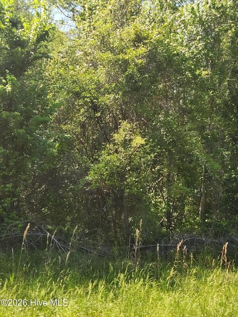 Tiny photo for 4 Shaw Highway, Rocky Point, NC 28457 (MLS # 100568530)