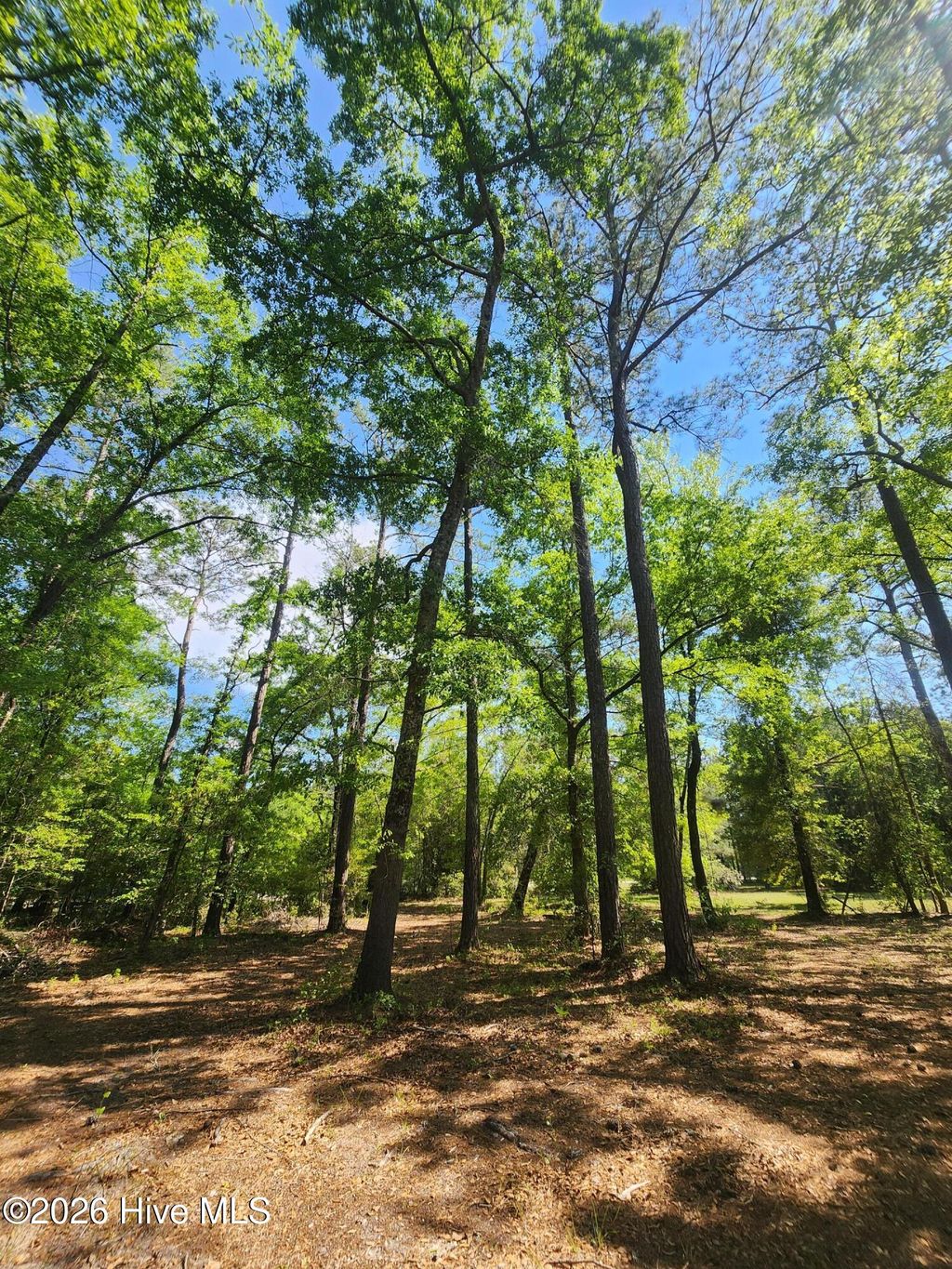 Photo of 4 Shaw Highway, Rocky Point, NC 28457 (MLS # 100568530)