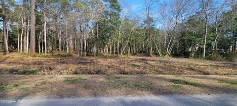 Vacant Land For Sale - 429 Hardy Road<br/> Carteret County, Newport, NC 28570