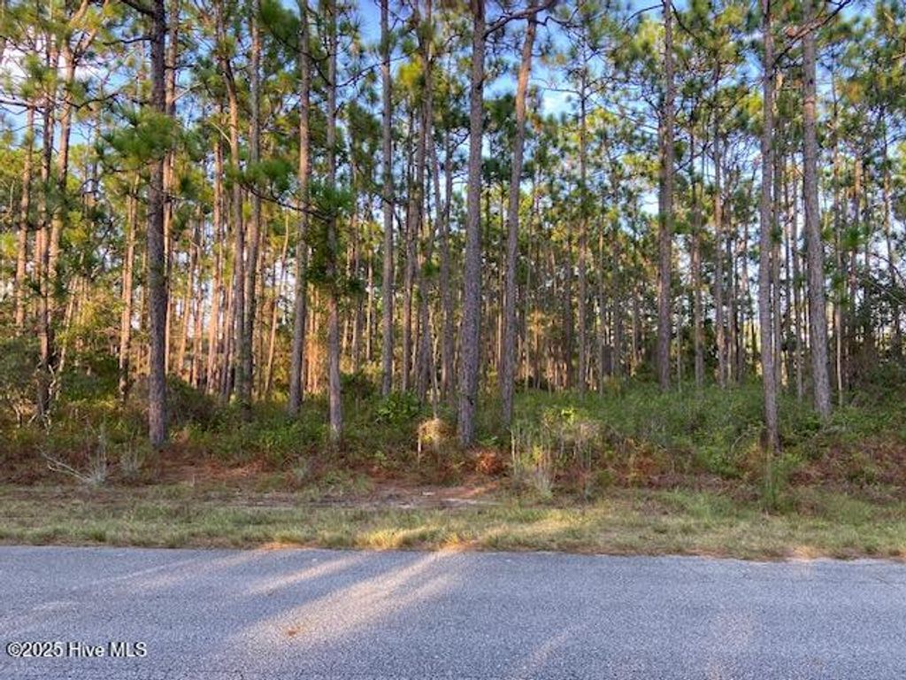 Photo of 23 Lexington Road, Boiling Spring Lakes, NC 28461 (MLS # 100531207)