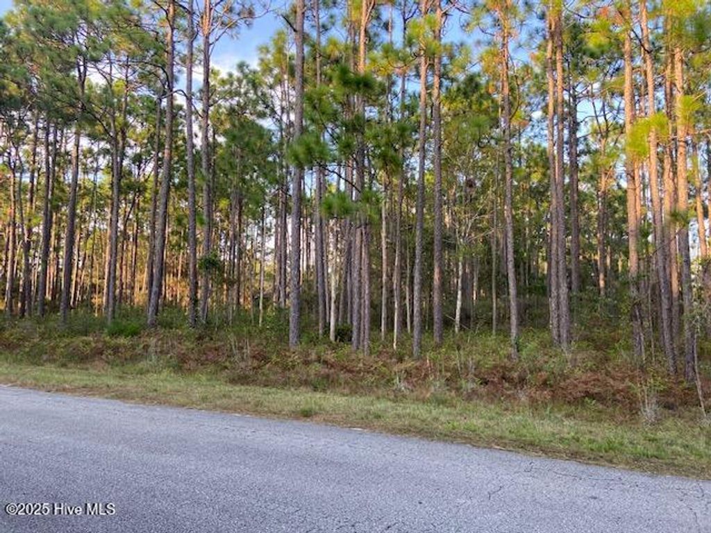 Photo of 23 Lexington Road, Boiling Spring Lakes, NC 28461 (MLS # 100531207)