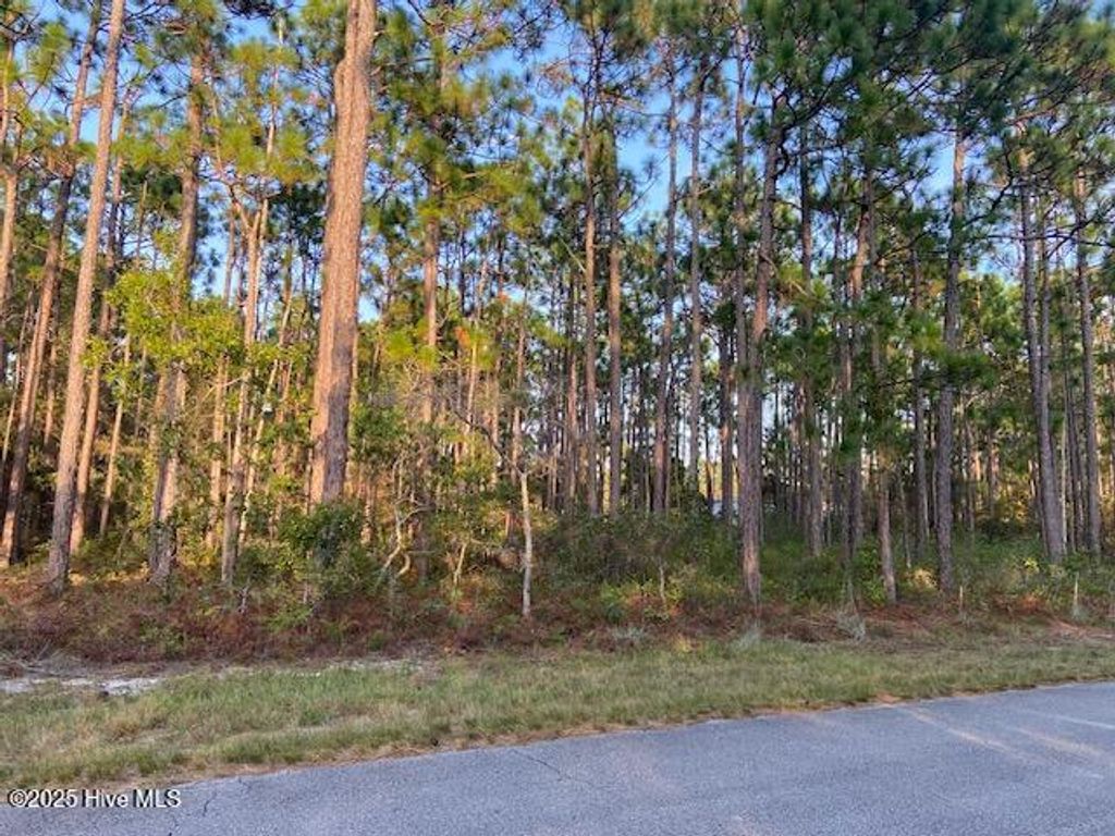 Photo of 23 Lexington Road, Boiling Spring Lakes, NC 28461 (MLS # 100531207)