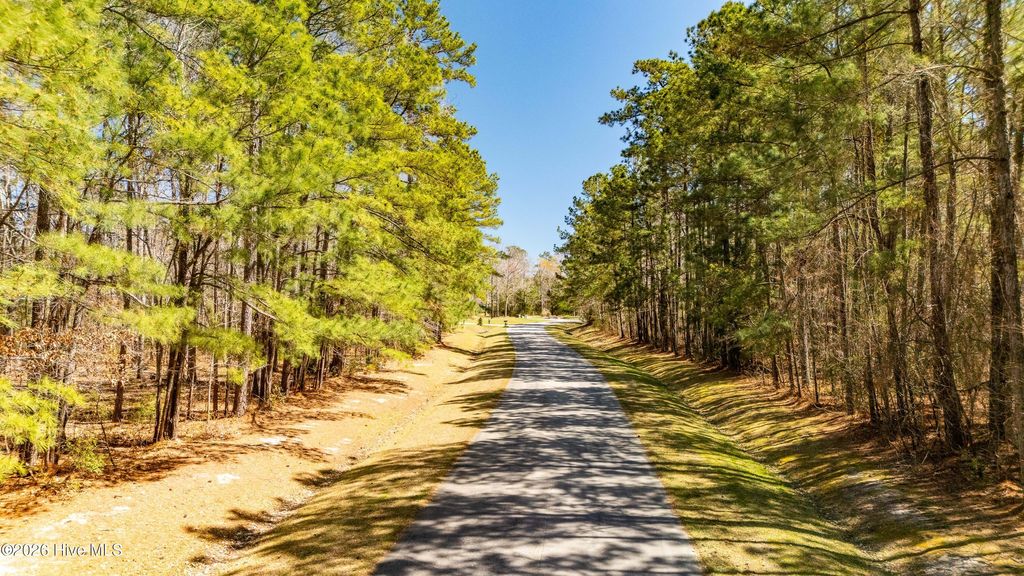 Photo of 425 Plantation Parkway, Oriental, NC 28571 (MLS # 100562544)