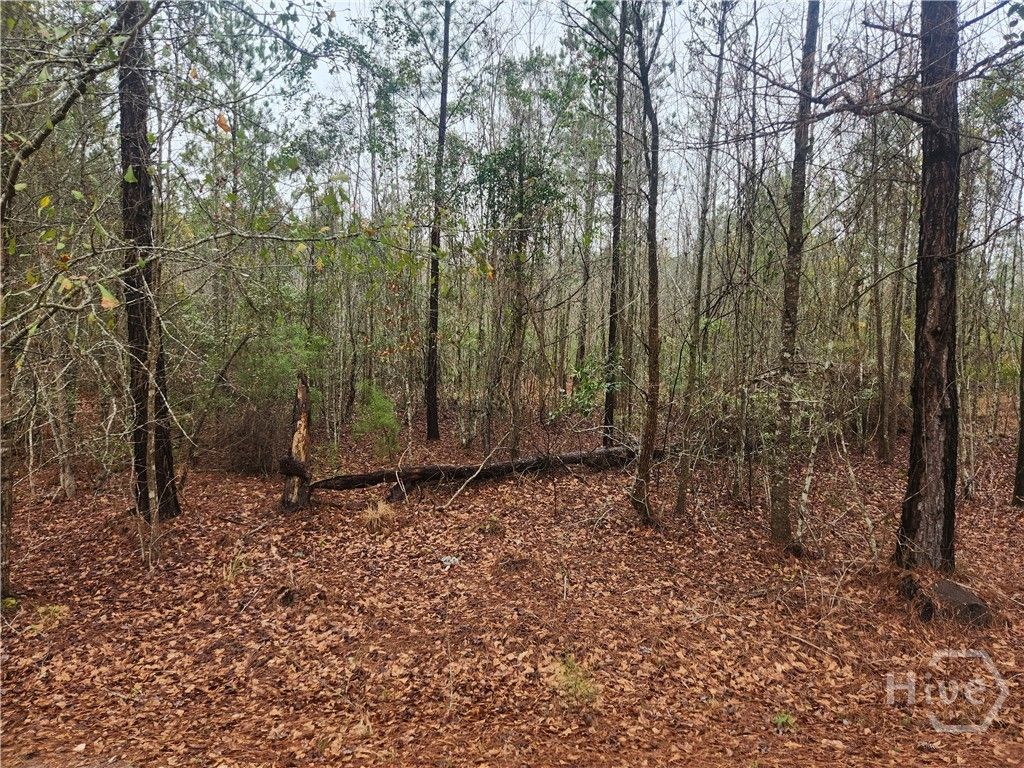 Photo of 351 Poplar St, Pembroke, GA 31321 (MLS # SA346215)