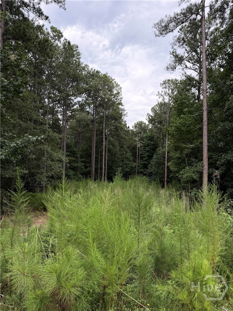 Photo of 0 Spratlin Court, Hull, GA 30646 (MLS # CL363075)