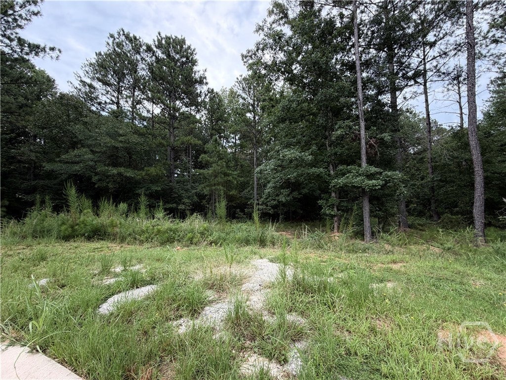 Photo of 0 Spratlin Court, Hull, GA 30646 (MLS # CL363075)