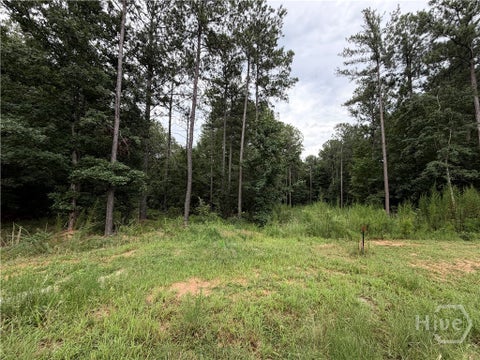 Vacant Land For Sale - Spratlin Court<br/> Hull, GA 30646
