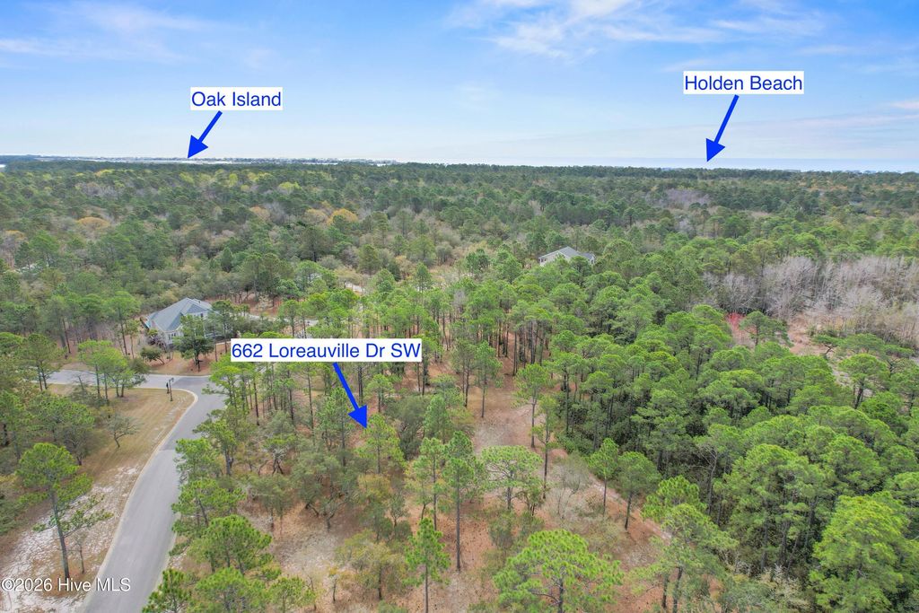 Photo of 662 Loreauville Drive SW, Supply, NC 28462 (MLS # 100562850)