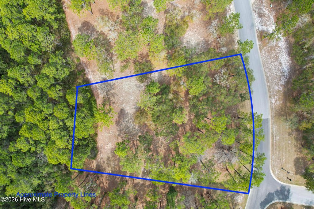 Photo of 662 Loreauville Drive SW, Supply, NC 28462 (MLS # 100562850)