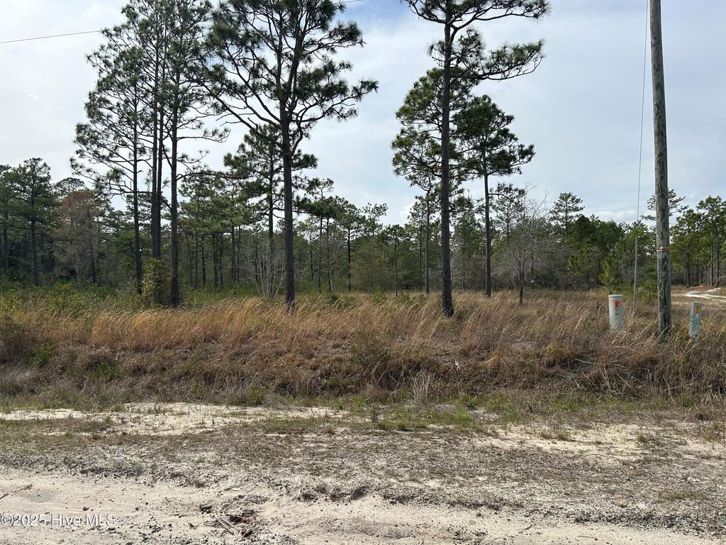 Photo of 0 Virginia Drive, Boiling Spring Lakes, NC 28461 (MLS # 100532920)