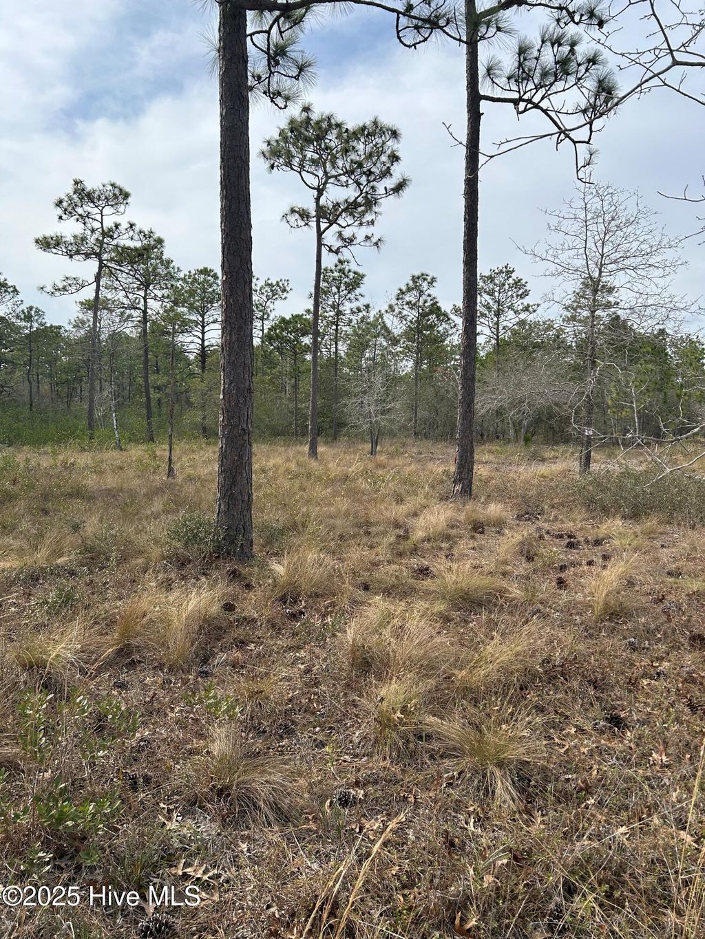 Photo of 0 Virginia Drive, Boiling Spring Lakes, NC 28461 (MLS # 100532920)