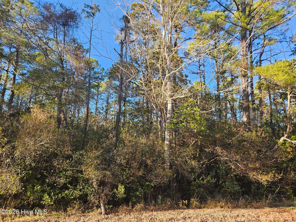 Photo of 67 New Hanover Road, Boiling Spring Lakes, NC 28461 (MLS # 100550110)