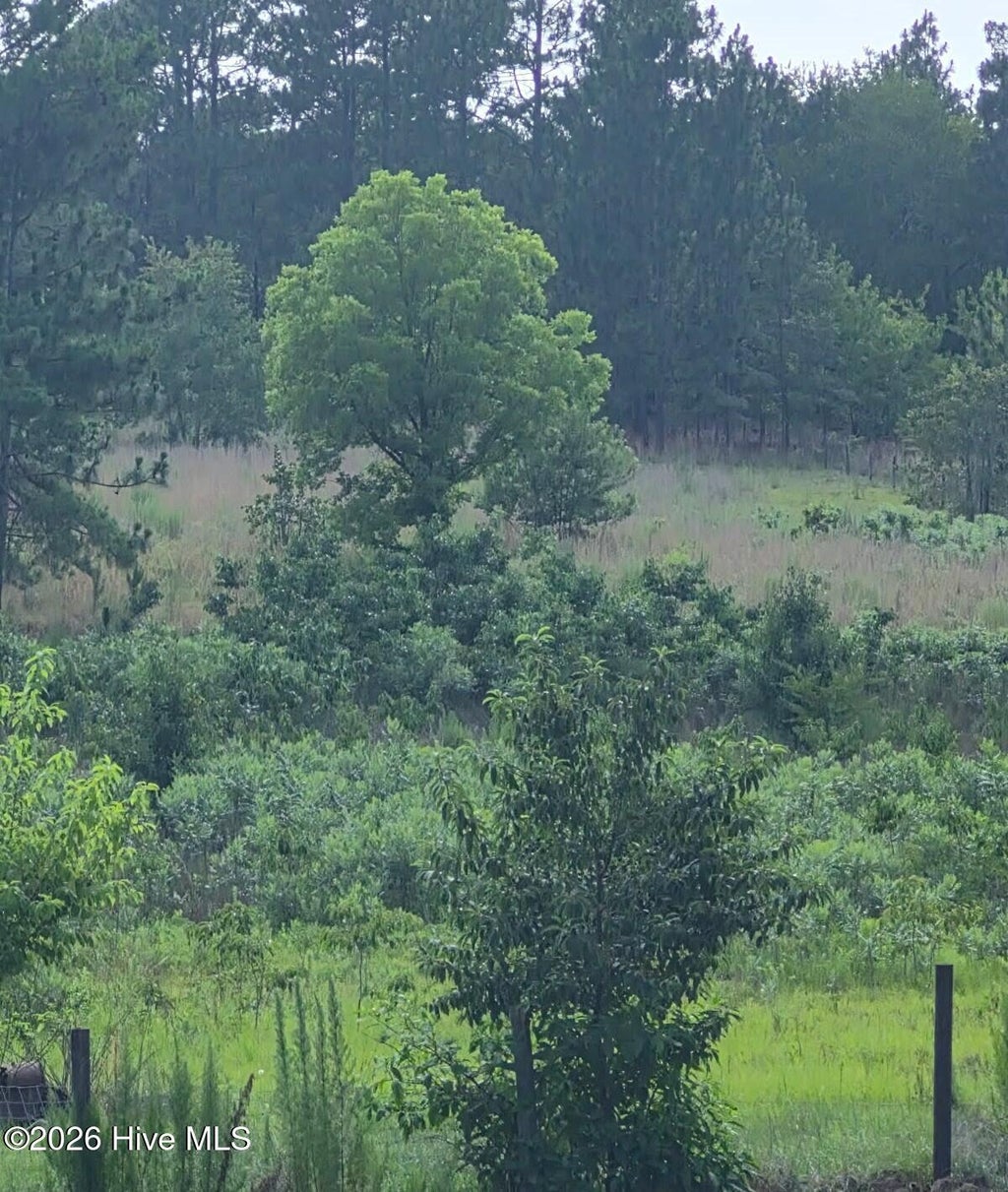 Photo of Tbd Dusty Trail, Aberdeen, NC 28315 (MLS # 100599522)