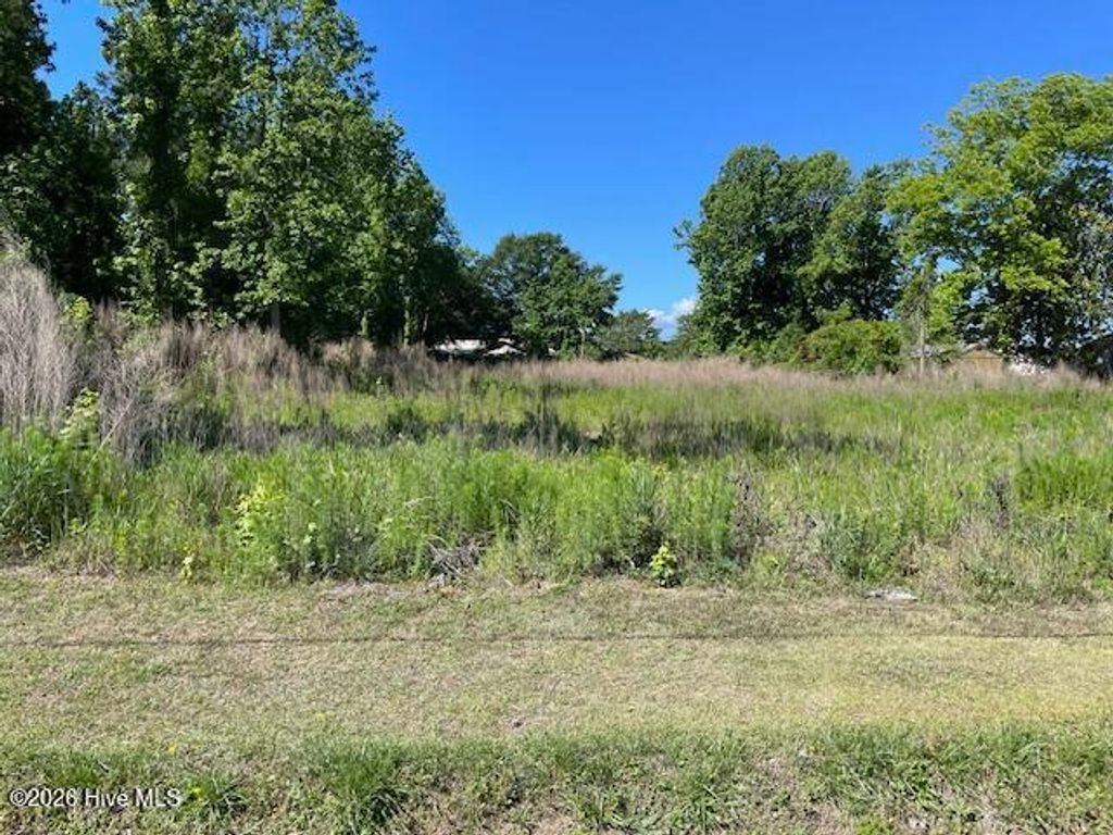 Photo of 0 Howards Channel Drive, Hampstead, NC 28443 (MLS # 100575897)