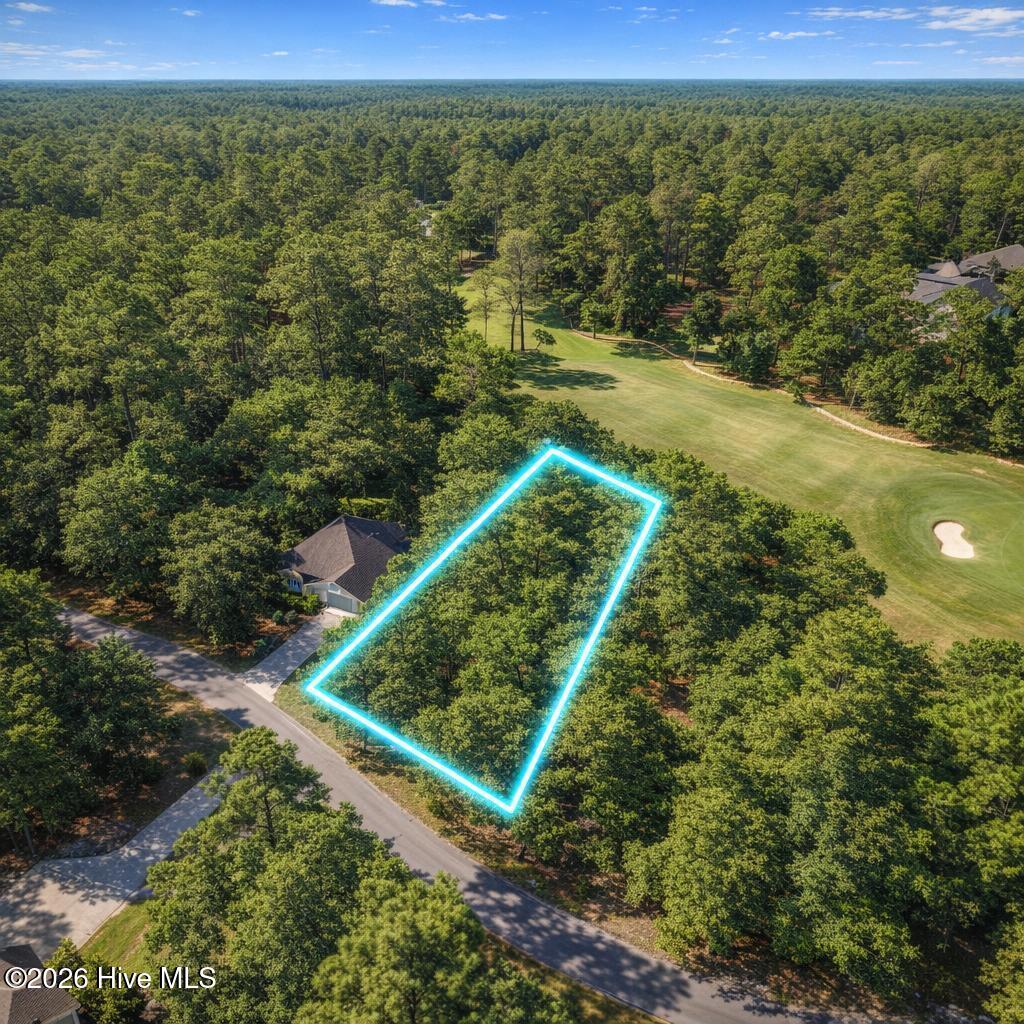 Photo of 76 Sandpiper Drive, Whispering Pines, NC 28327 (MLS # 100588301)