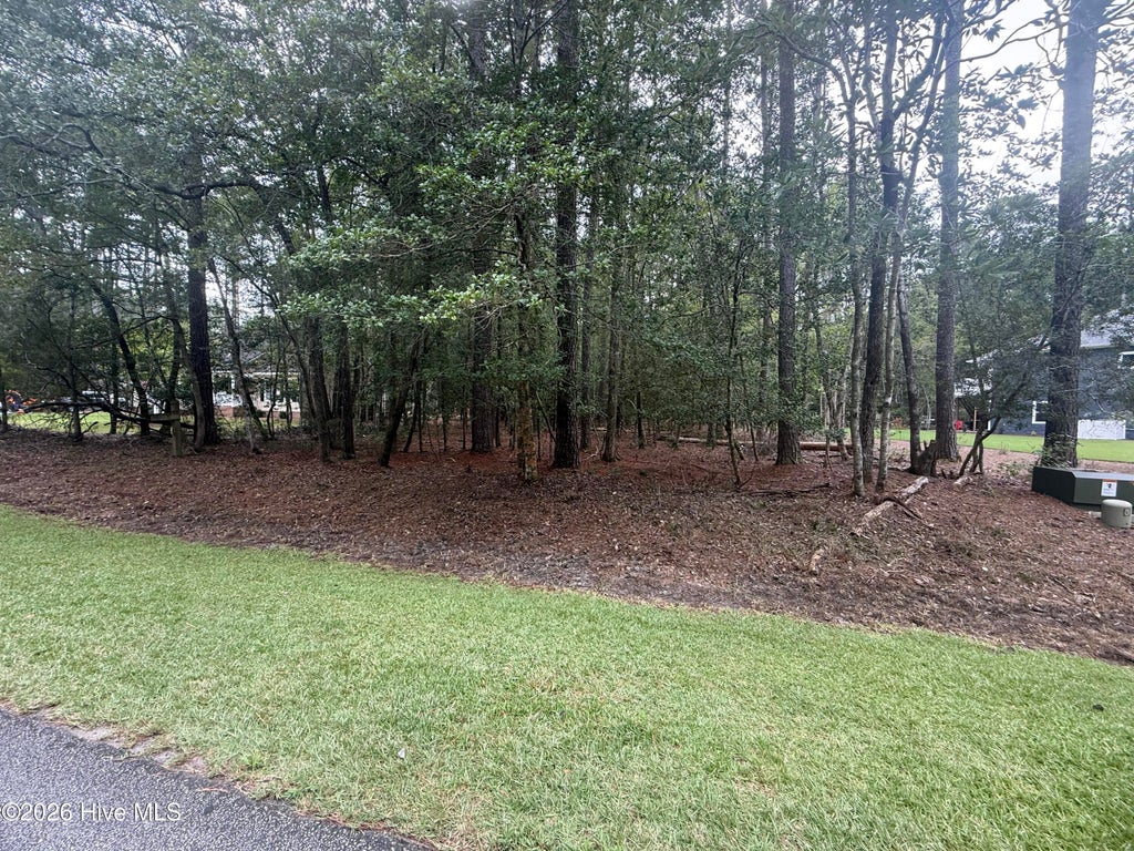 Photo of 208 Pamlico River Drive, Washington, NC 27889 (MLS # 100606620)