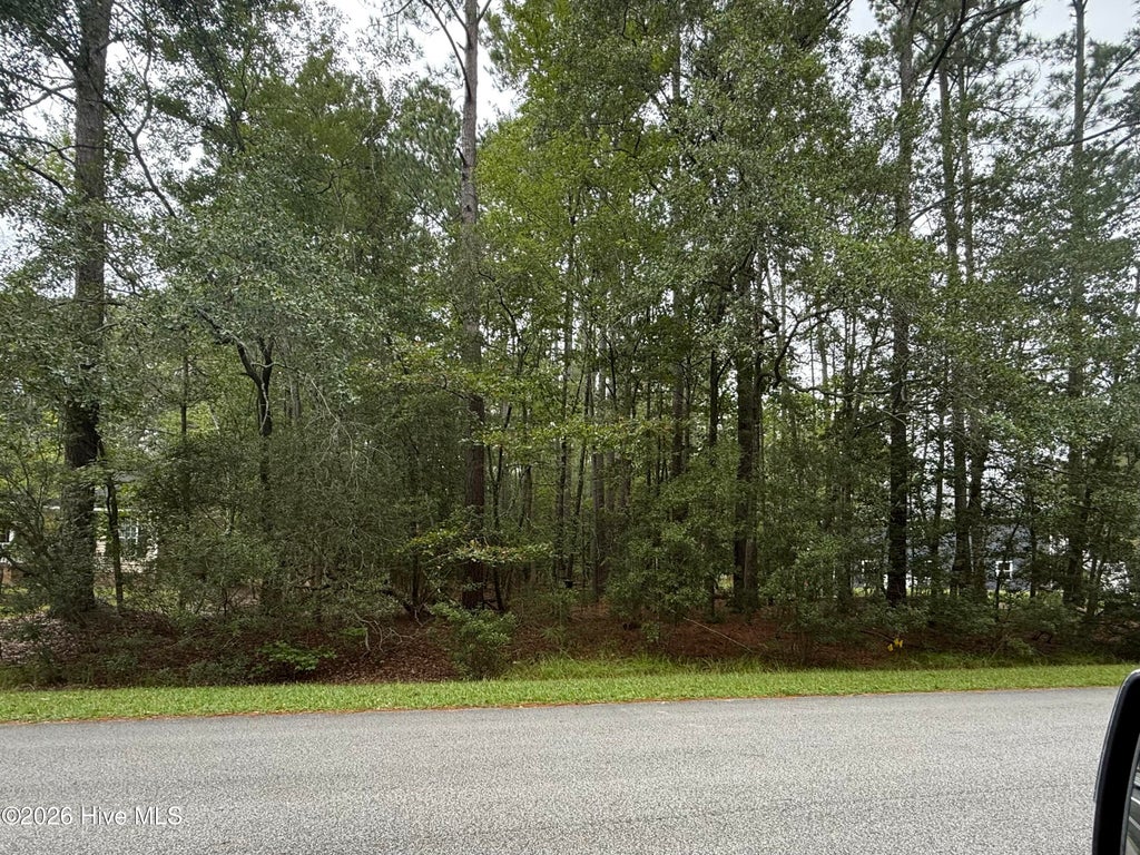 Photo of 208 Pamlico River Drive, Washington, NC 27889 (MLS # 100606620)