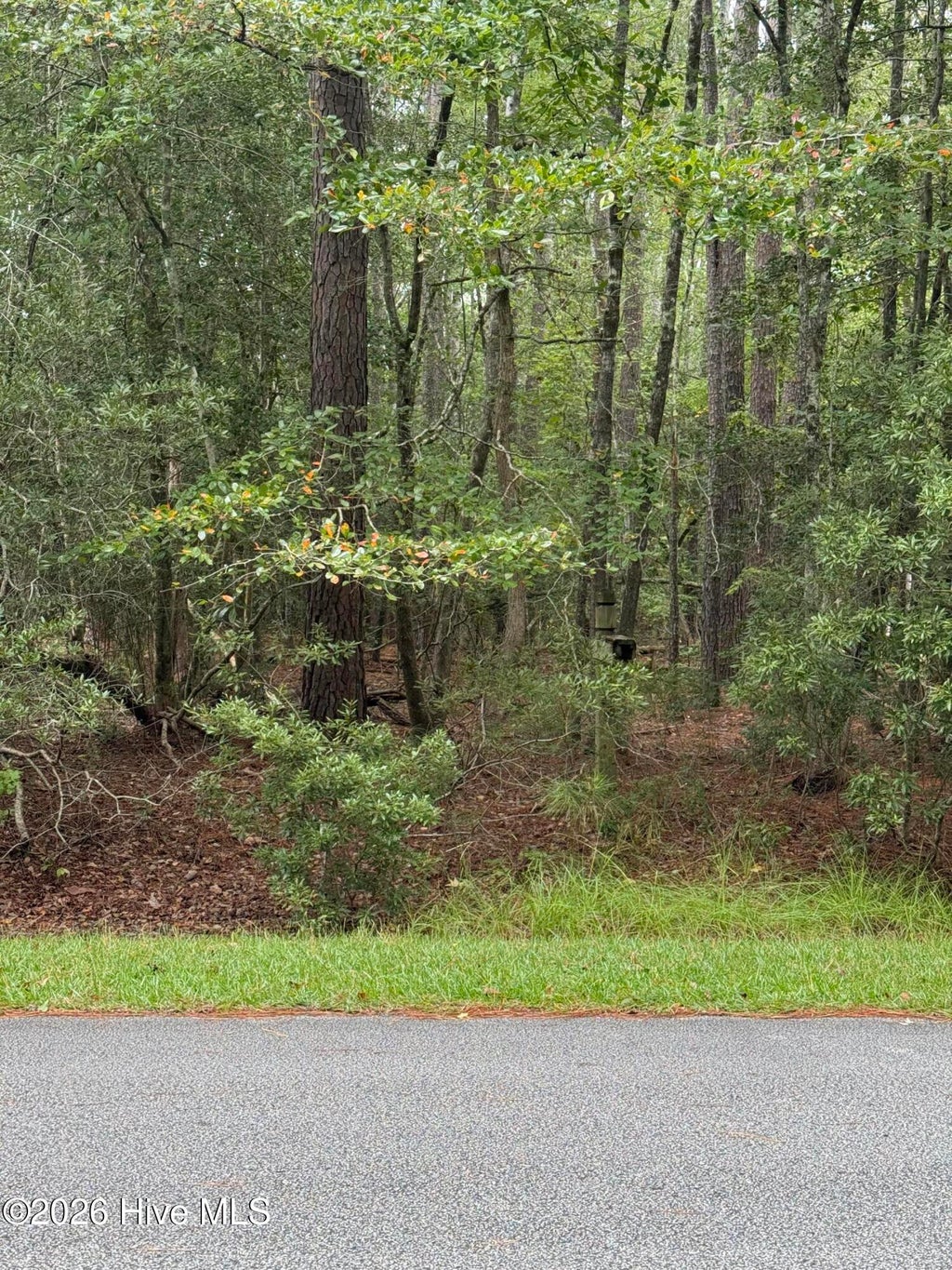 Photo of 208 Pamlico River Drive, Washington, NC 27889 (MLS # 100606620)