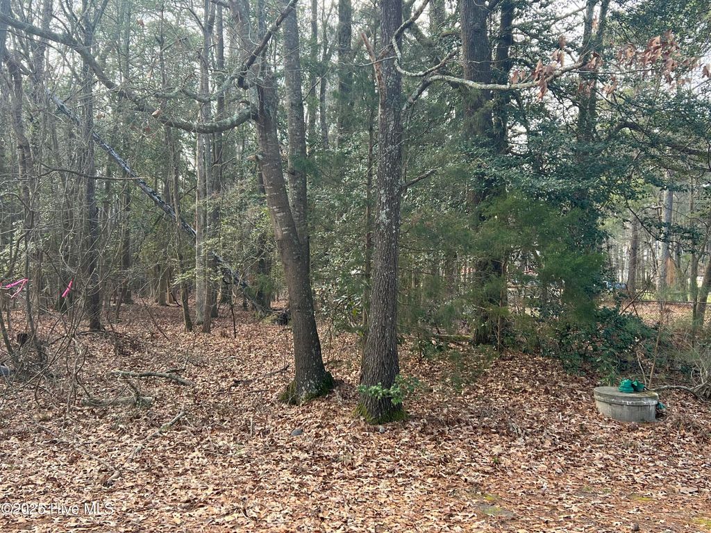 Photo of 0 Bridgersville Road, Macclesfield, NC 27852 (MLS # 100557541)