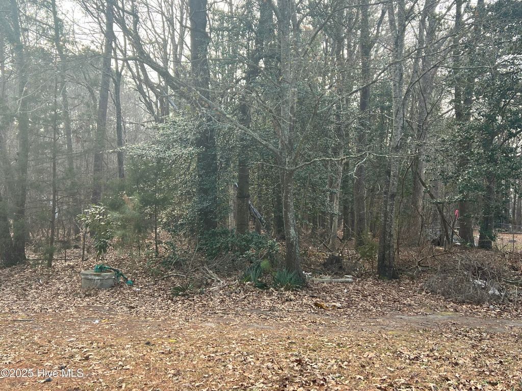 Photo of 0 Bridgersville Road, Macclesfield, NC 27852 (MLS # 100557541)