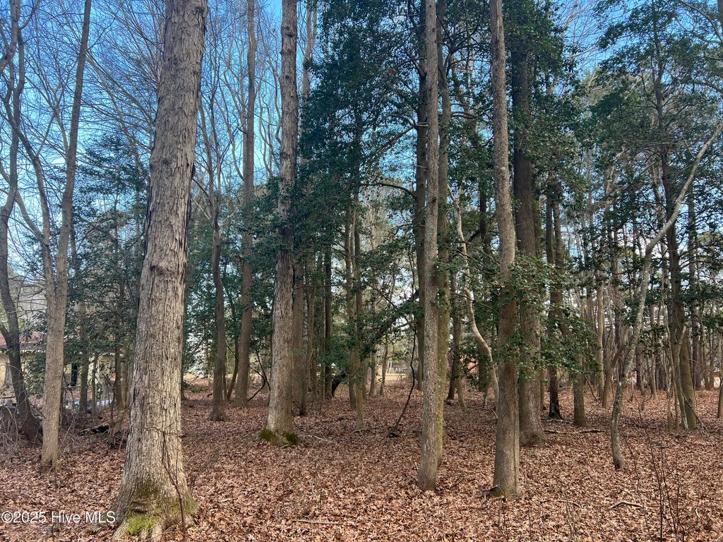 Photo of 0 Bridgersville Road, Macclesfield, NC 27852 (MLS # 100557541)