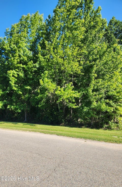 Vacant Land For Sale - 32 Treasure Point Road<br/> Bath, NC 27808