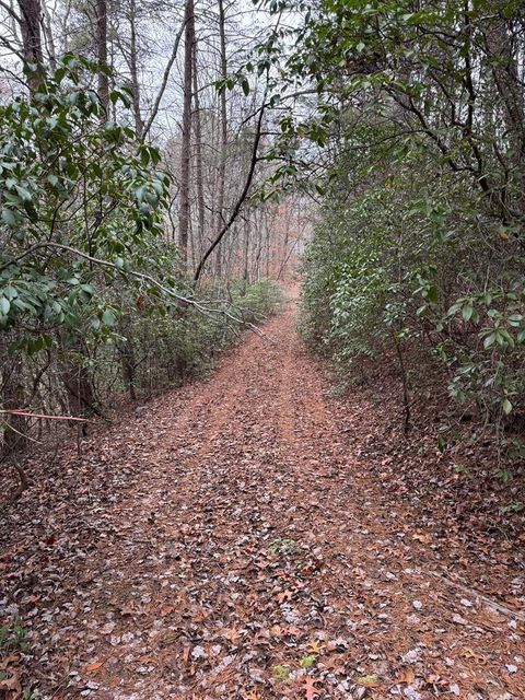 Vacant Land For Sale - 289 Paradise<br/> Murphy, NC 28906