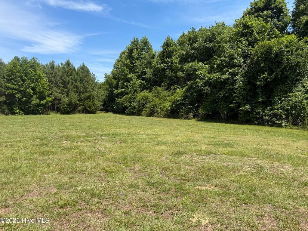 Photo of 194 Barbee Road, Richlands, NC 28574 (MLS # 100583571)