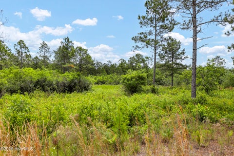 Tiny photo for 244 Pilchers Branch Road, Holly Ridge, NC 28445 (MLS # 100578216)