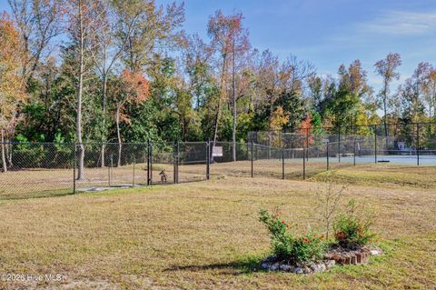Tiny photo for 236 Sabal Pond Way, Castle Hayne, NC 28429 (MLS # 100565669)