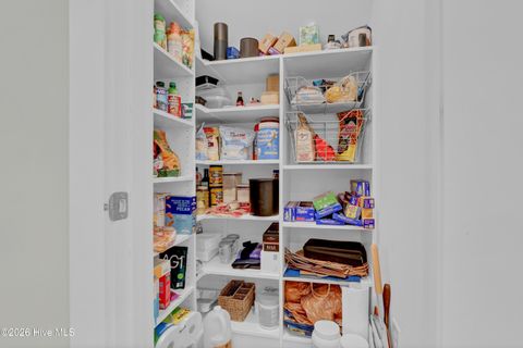 Tiny photo for 236 Sabal Pond Way, Castle Hayne, NC 28429 (MLS # 100565669)