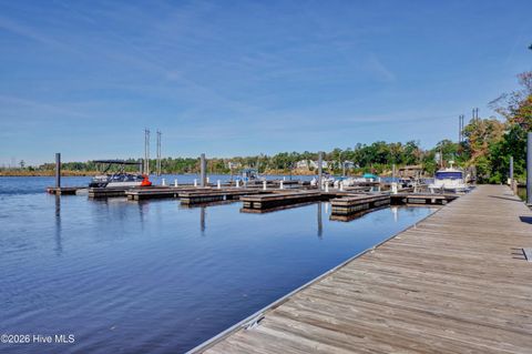 Tiny photo for 236 Sabal Pond Way, Castle Hayne, NC 28429 (MLS # 100565669)