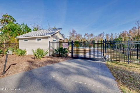 Tiny photo for 236 Sabal Pond Way, Castle Hayne, NC 28429 (MLS # 100565669)