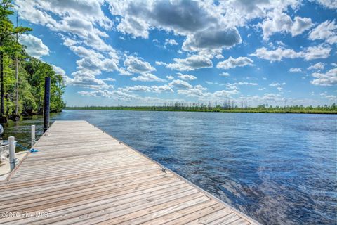 Tiny photo for 236 Sabal Pond Way, Castle Hayne, NC 28429 (MLS # 100565669)