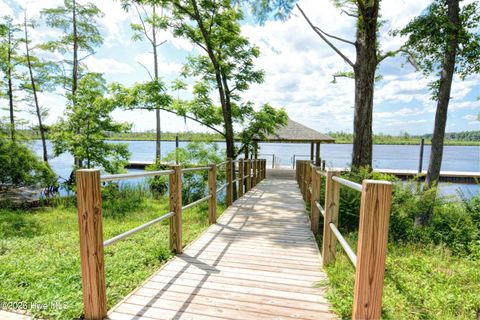 Tiny photo for 236 Sabal Pond Way, Castle Hayne, NC 28429 (MLS # 100565669)