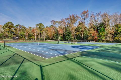 Tiny photo for 236 Sabal Pond Way, Castle Hayne, NC 28429 (MLS # 100565669)