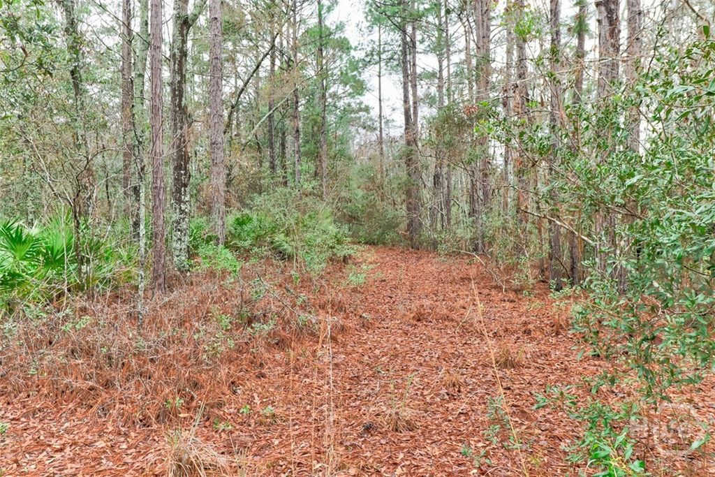 Photo of 109 Unique Drive, Guyton, GA 31312 (MLS # SA348536)