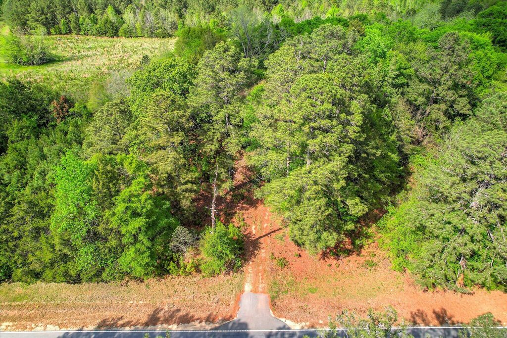 Photo of 6995 Cobbham Road, Appling, GA 30802 (MLS # 554130)