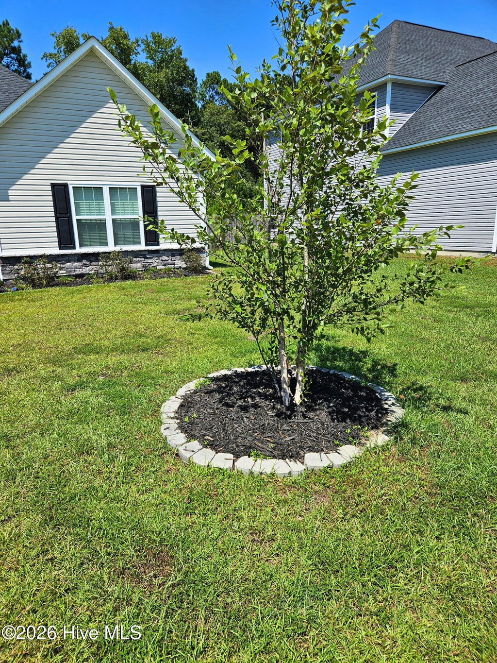 Photo of 462 Water Wagon Trail, Jacksonville, NC 28546 (MLS # 100597405)