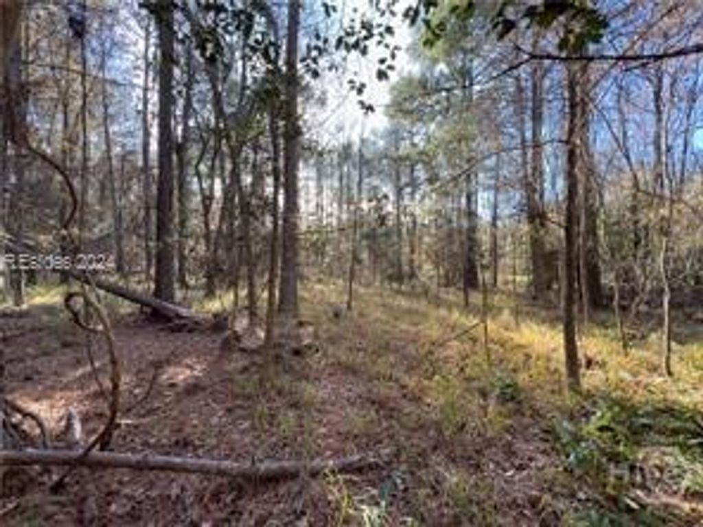 Photo of 4637 Wire Road Rd, Summerville, SC 29485 (MLS # SA350185)