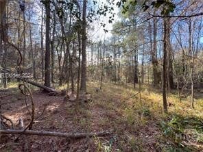 Vacant Land For Sale - 4637 Wire Road Rd<br/> Summerville, SC 29485