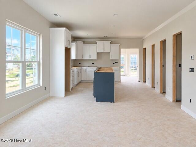 915 Everlong Lane