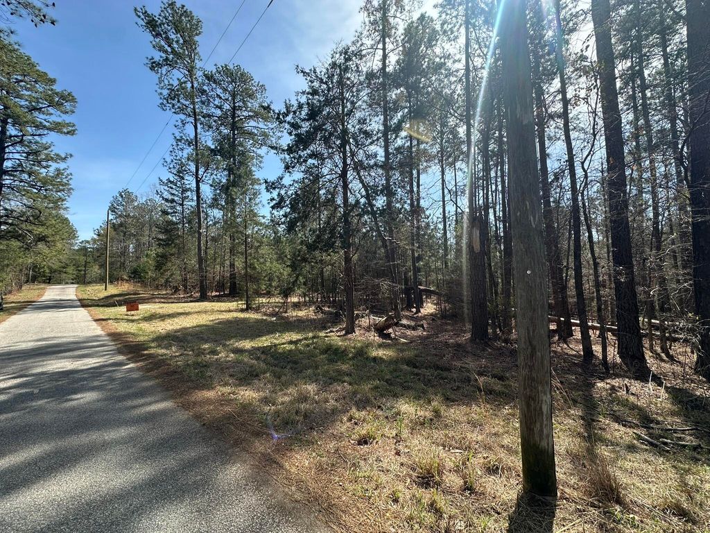 Photo of 1035 Seminole Drive, Lincolnton, GA 30817 (MLS # 553681)