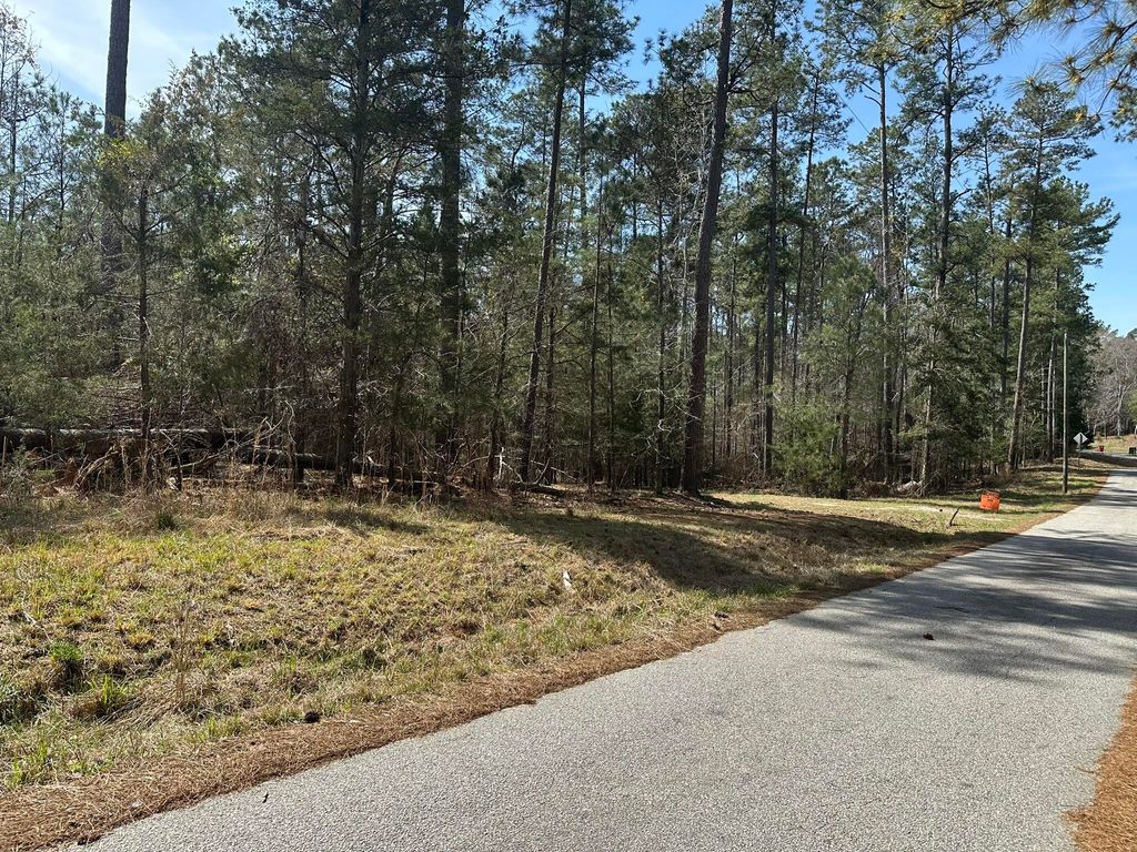 Photo of 1035 Seminole Drive, Lincolnton, GA 30817 (MLS # 553681)