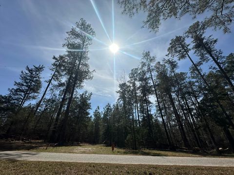 Vacant Land For Sale - 1035 Seminole Drive<br/> Lincoln County, Lincolnton, GA 30817