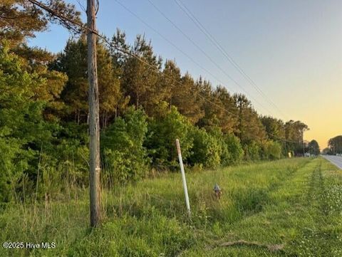 Tiny photo for 53 Nc Hwy 53, Burgaw, NC 28425 (MLS # 100569982)