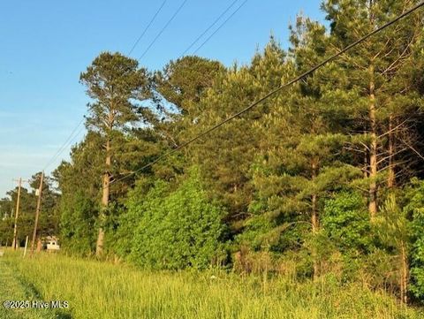Tiny photo for 53 Nc Hwy 53, Burgaw, NC 28425 (MLS # 100569982)